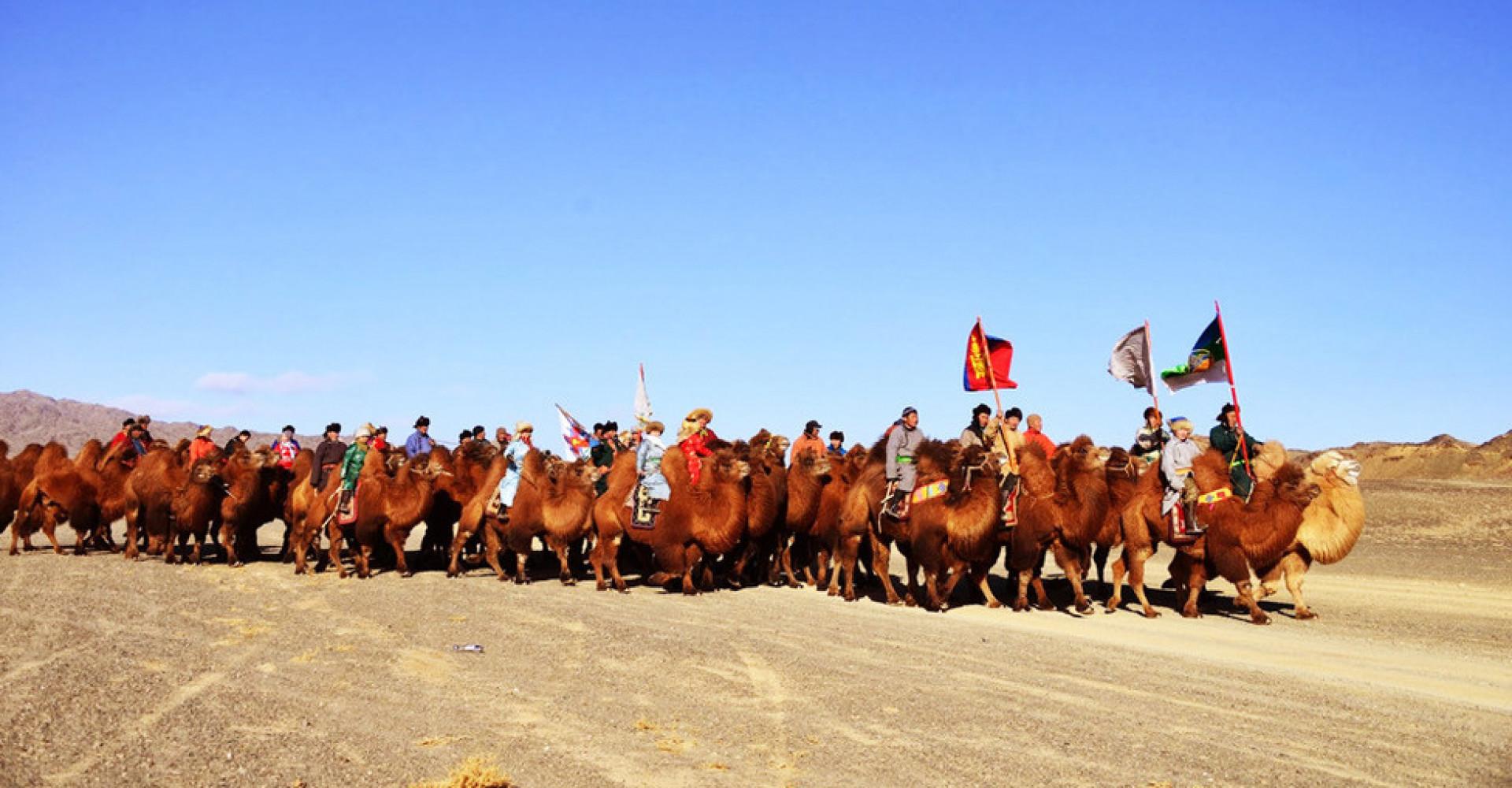 Mongolian Ten Thousand Camel Festival