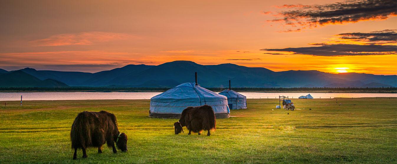 Mongolian Yak Festival
