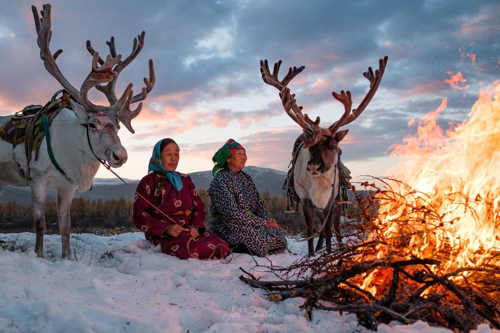 Two Thousand Reindeer Festival
