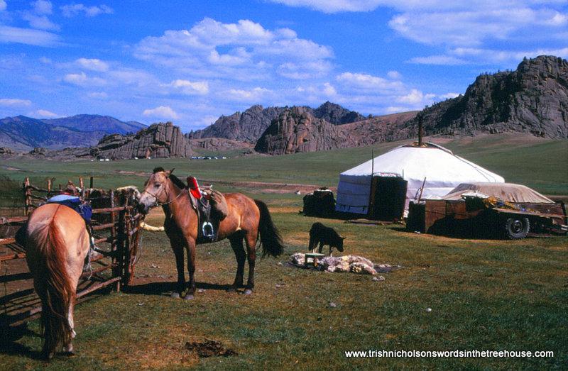 packing horse for trekking