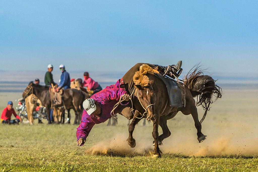 camel track tour