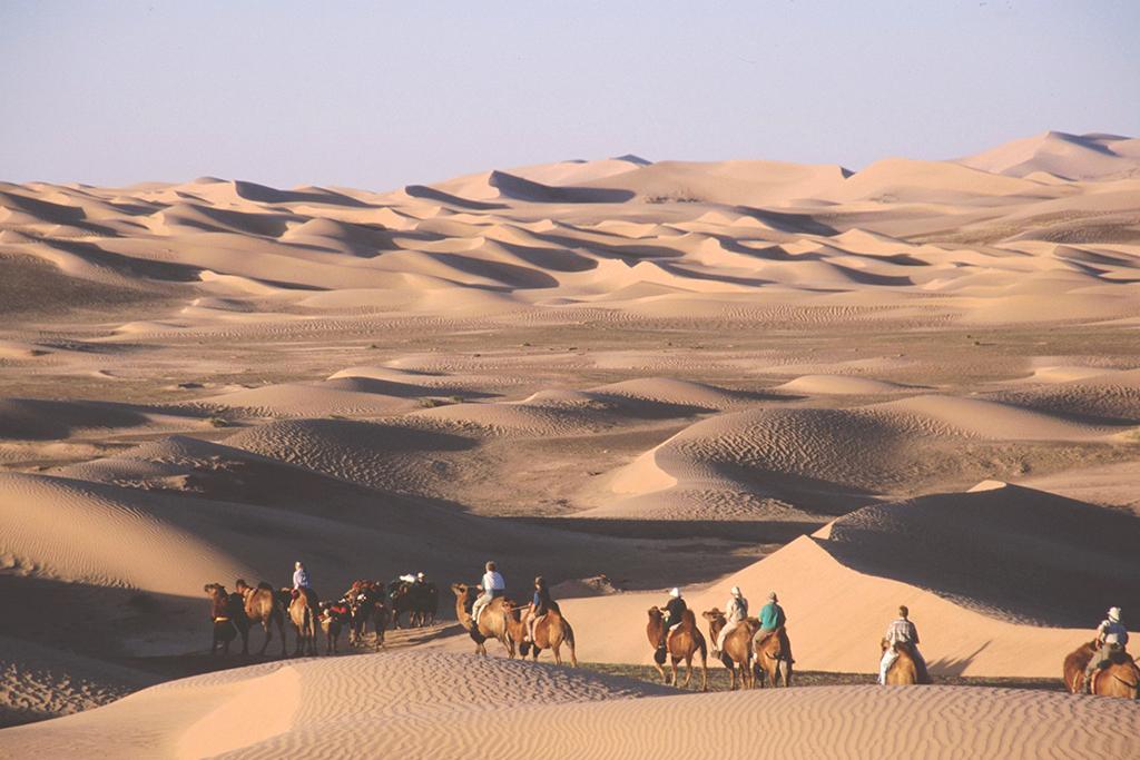 camel track tour